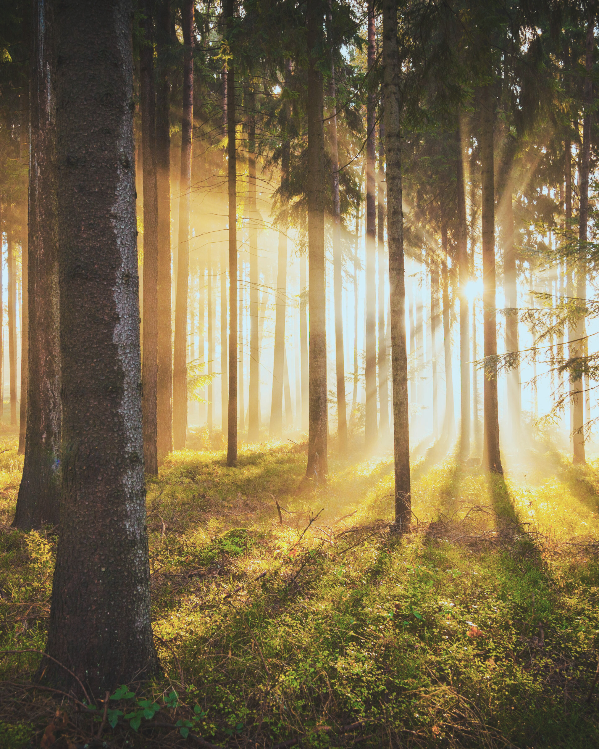 2 Sviluppo personale