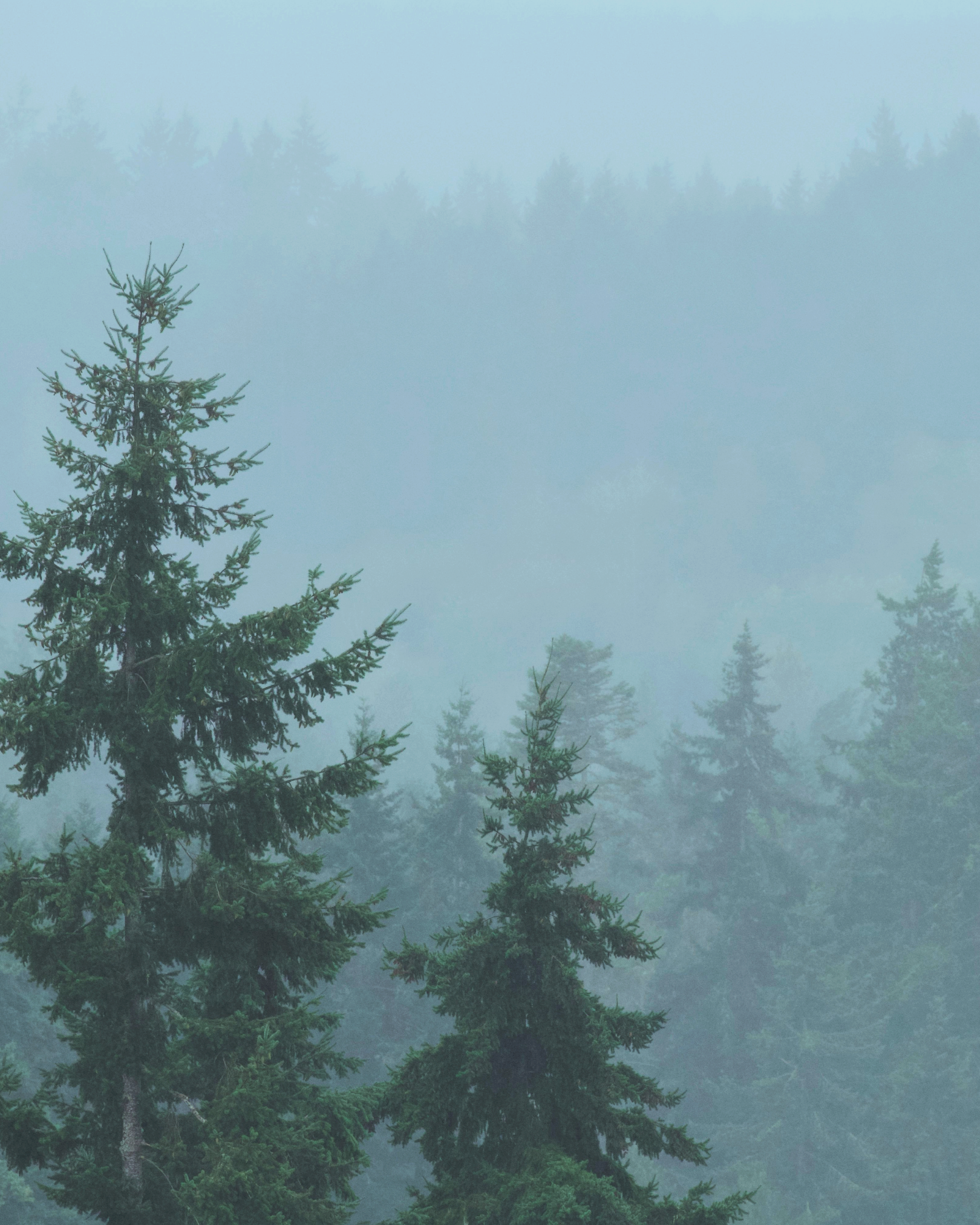 Progetto senza titolo-2 Team Building per aziende